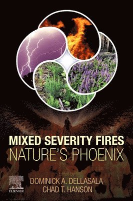 Mixed Severity Fires 1