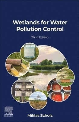 Miklas Scholz - Wetlands for Water Pollution Control, Häftad