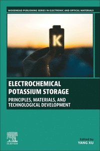bokomslag Electrochemical Potassium Storage