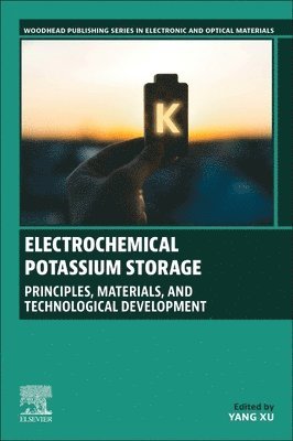 Electrochemical Potassium Storage 1