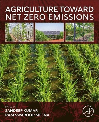 bokomslag Agriculture Toward Net Zero Emissions