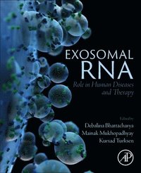 bokomslag Exosomal RNA