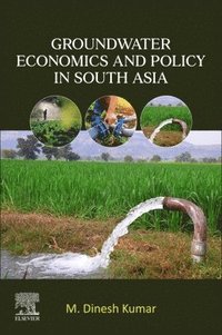 bokomslag Groundwater Economics and Policy in South Asia