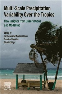 bokomslag Multi-Scale Precipitation Variability Over the Tropics