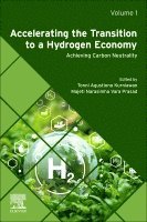 Tonni Agustiono Kurniawan, Majeti Narasimha Vara Prasad - Accelerating the Transition to a Hydrogen Economy, Häftad