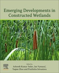 bokomslag Emerging Developments in Constructed Wetlands