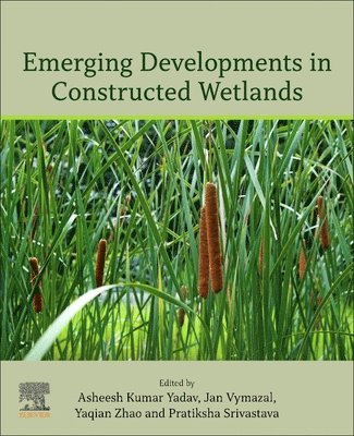 Emerging Developments in Constructed Wetlands 1