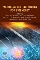 Naga Raju Maddela, Sesan Abiodun Aransiola, Chizoba I. Ezugwu, Lizziane Kretli Winkelstroter Eller, Laura Scalvenzi, Fangang Meng - Microbial Biotechnology for Bioenergy, Häftad