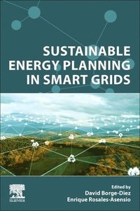 bokomslag Sustainable Energy Planning in Smart Grids