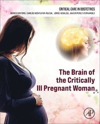 bokomslag The Brain of the Critically Ill Pregnant Woman