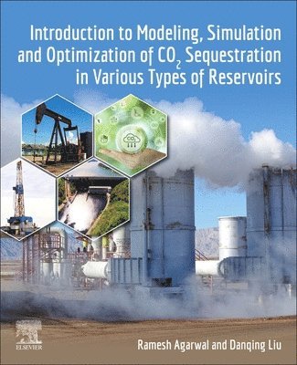 Ramesh Agarwal, Danqing Liu - Introduction to Modeling, Simulation and Optimization of CO2 Sequestration in Various Types of Reservoirs, Häftad