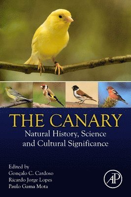 The Canary 1