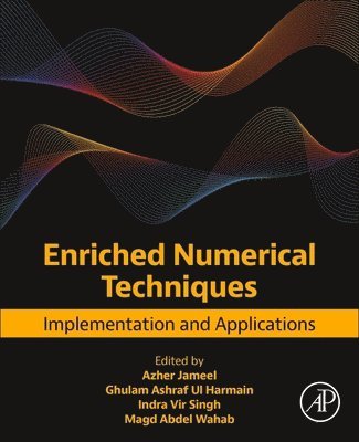Azher Jameel, Ghulam Ashraf Ul Harmain, Indra Vir Singh, Magd Abdel Wahab - Enriched Numerical Techniques, Häftad