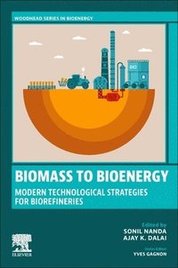 bokomslag Biomass to Bioenergy