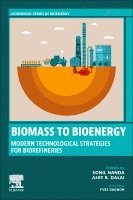 Sonil Nanda, Ajay K. Dalai - Biomass to Bioenergy, Häftad