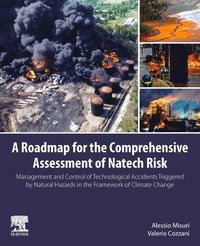 bokomslag A Roadmap for the Comprehensive Assessment of Natech Risk