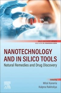 bokomslag Nanotechnology and In Silico Tools