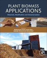 Mohammad Jawaid, Anish Khan, Abdullah Mohammed Ahmed Asiri - Plant Biomass Applications, Häftad