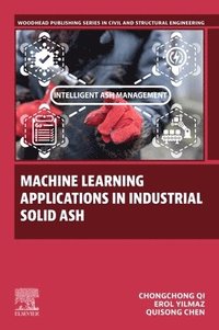 bokomslag Machine Learning Applications in Industrial Solid Ash