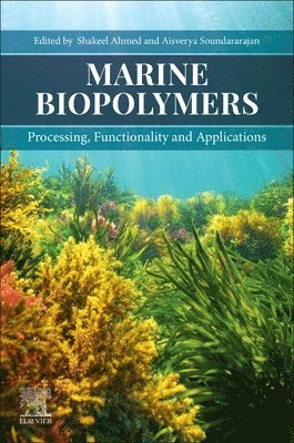 bokomslag Marine Biopolymers