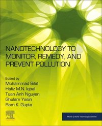bokomslag Nanotechnology to Monitor, Remedy, and Prevent Pollution