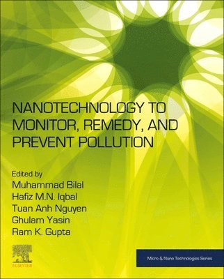 Nanotechnology to Monitor, Remedy, and Prevent Pollution 1