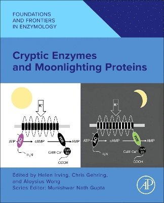bokomslag Cryptic Enzymes and Moonlighting Proteins