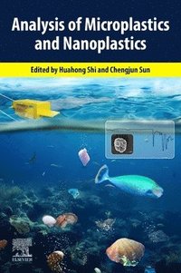 bokomslag Analysis of Microplastics and Nanoplastics