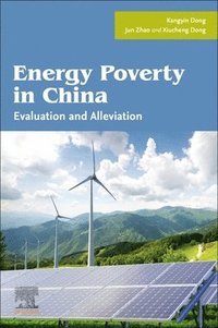 bokomslag Energy Poverty in China