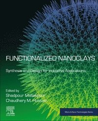 bokomslag Functionalized Nanoclays