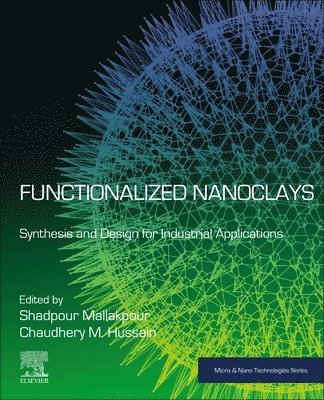 bokomslag Functionalized Nanoclays