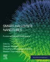 bokomslag Smart Halloysite Nanotubes