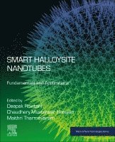 Deepak Rawtani, Nitasha Khatri, Chaudhery Mustansar Hussain - Smart Halloysite Nanotubes, Häftad