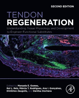 Manuela E. Gomes, Manuela E. Gomes, Rui L. Reis, M�rcia T. Rodrigues, Ana Gon�alves, Dimitrios Zeugolis, Denitsa Docheva, Márcia T. Rodrigues, Ana Gonçalves, PhD Rodrigues, Marcia T., PhD Goncalves, Ana, University College Dublin.) Zeugolis, Dimitrios, PhD (Director, Regenerative, Modular & Developmental Engineering Laboratory and Professor Charles Institute of Dermatology, Conway Institute of Biomolecular & Biomedical Research and School of Mechanical & Materials Engineering, Germany) Docheva, Denitsa, PhD (Chair, Department of Musculoskeletal Tissue Regeneration, Orthopaedic Hospital Konig-Ludwig-Haus and Julius-Maximilians-University of Wuerzburg, Manuela E Gomes, Rui L Reis, Márcia T Rodrigues - Tendon Regeneration, Häftad