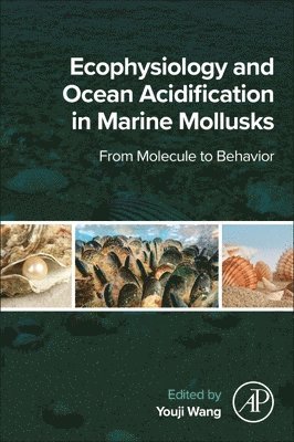 bokomslag Ecophysiology and Ocean Acidification in Marine Mollusks