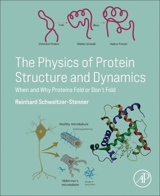 bokomslag The Physics of Protein Structure and Dynamics