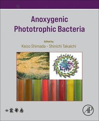 bokomslag Anoxygenic Phototrophic Bacteria