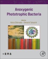 Anoxygenic Phototrophic Bacteria 1