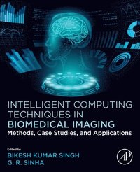 bokomslag Intelligent Computing Techniques in Biomedical Imaging