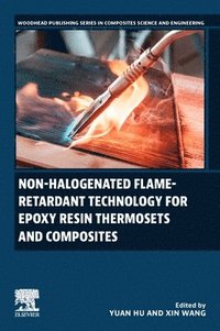 bokomslag Non-halogenated Flame-Retardant Technology for Epoxy Resin Thermosets and Composites