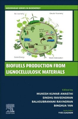 bokomslag Biofuels Production from Lignocellulosic Materials