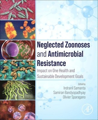 bokomslag Neglected Zoonoses and Antimicrobial Resistance