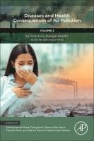 Mohammad Hadi Dehghani, Rama Rao Karri, Teresa Vera, Salwa Kamal Mohamed Hassan - Diseases and Health Consequences of Air Pollution, Häftad