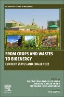Electo silva lora, Manuel Garcia-Perez, Osvaldo jos� venturini - From Crops and Wastes to Bioenergy, Häftad