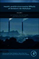 Mohammad Hadi Dehghani, Rama Rao Karri, Teresa Vera, Salwa Kamal Mohamed Hassan - Health and Environmental Effects of Ambient Air Pollution, Häftad