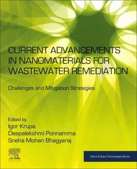 bokomslag Current Advancements in Nanomaterials for Wastewater Remediation