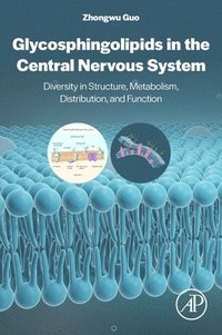 bokomslag Glycosphingolipids in the Central Nervous System