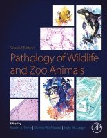 bokomslag Pathology of Wildlife and Zoo Animals