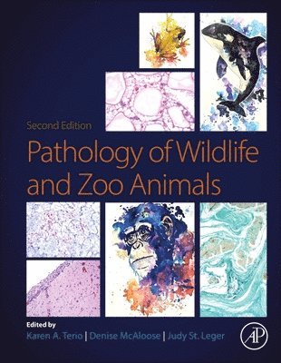 Pathology of Wildlife and Zoo Animals 1