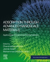 bokomslag Adsorption through Advanced Nanoscale Materials